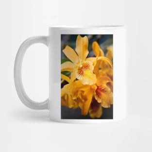 Yellow Orchid Flower Flowering Plant Mug